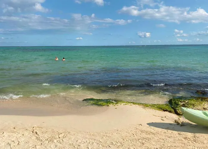 Apartment Downtown With Rooftop Pool - Walk To 5th Ave & The Playa del Carmen