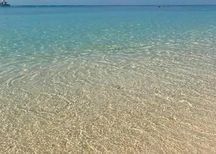 Downtown With Rooftop Pool - Walk To 5th Ave & The Playa del Carmen